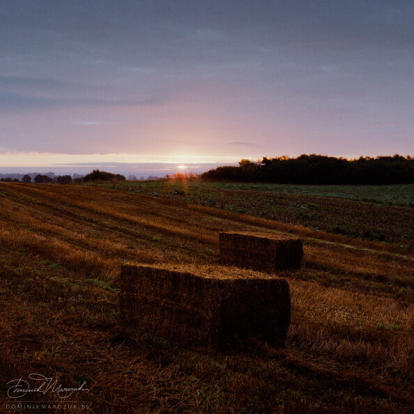 FLICKR-Roll-93-Frame-11.jpg