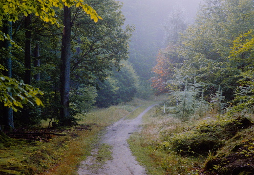 The Ghost Road