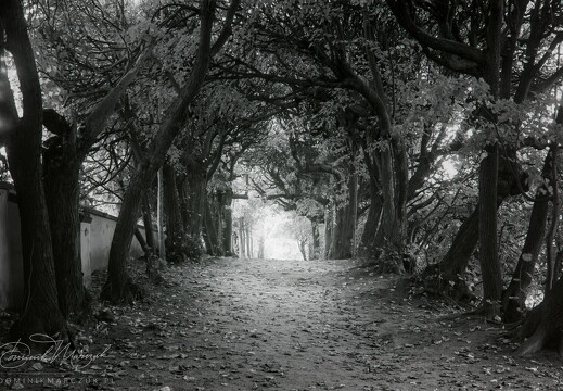 At the End of the Tunnel