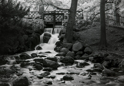 Oliwa Waterfall II