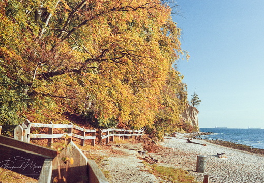 Gold Behind the Fence