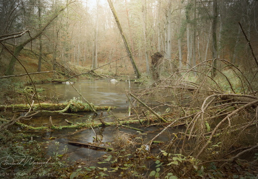 Secrets of the River