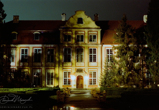 A Night at the Museum