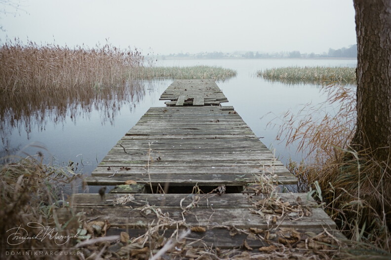 FLICKR-Roll-30-Frame-07.jpg