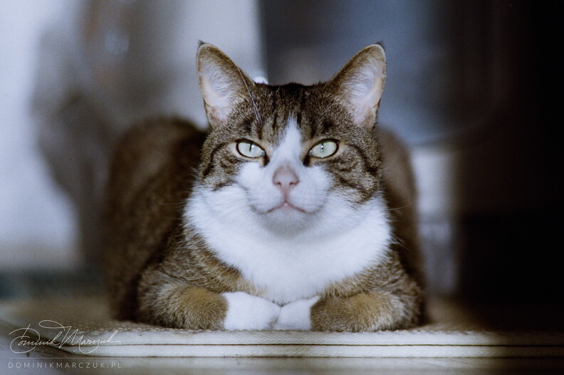 FLICKR-Roll-34-Frame-10.jpg