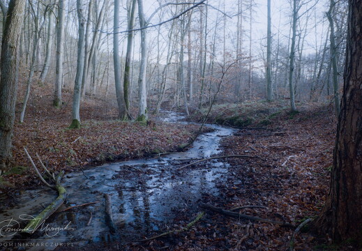 Leaves and Let Flow