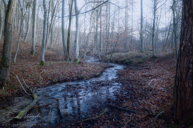 FLICKR-Roll-34-Frame-24.jpg