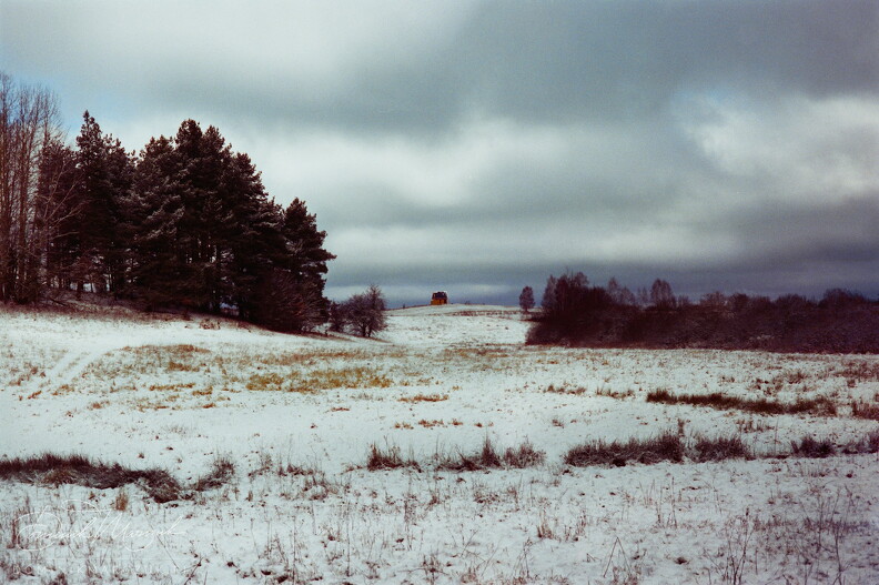 FLICKR-Roll-35-Frame-15.jpg