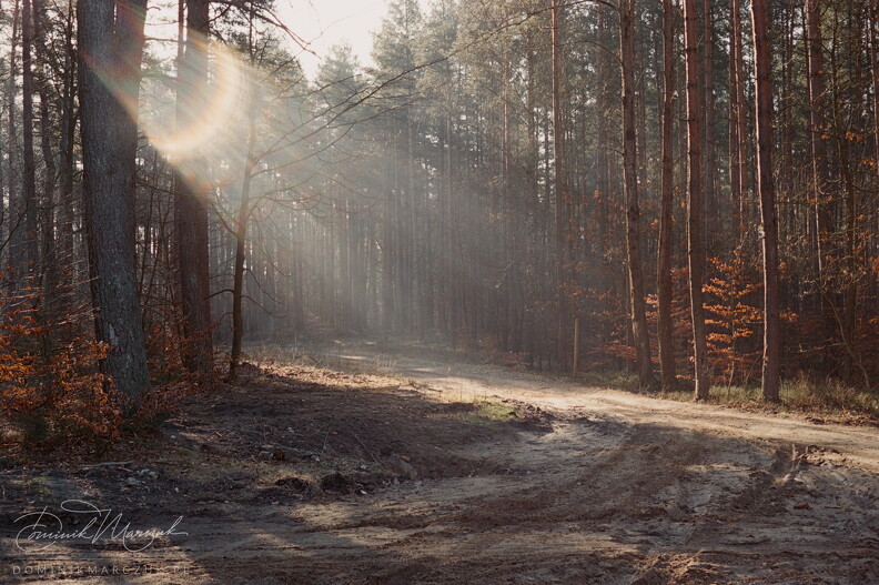 FLICKR-Roll-39-Frame-10.jpg