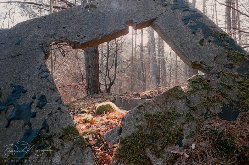 FLICKR-Roll-39-Frame-16.jpg