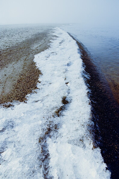 FLICKR-Roll-40-Frame-26.jpg