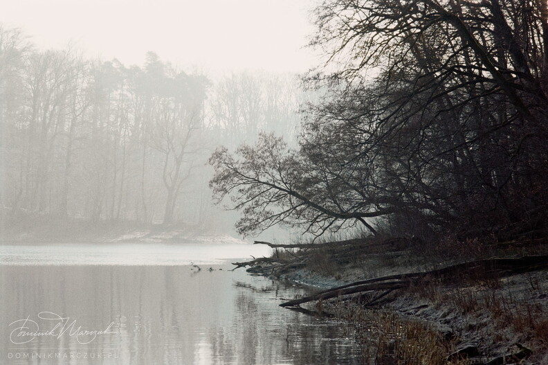 FLICKR-Roll-41-Frame-12.jpg