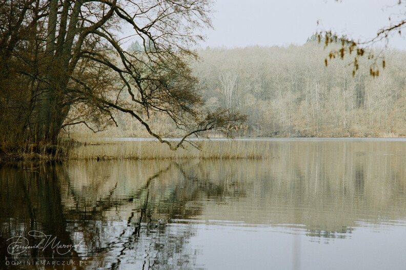 FLICKR-Roll-42-Frame-09.jpg