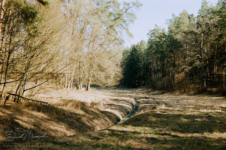 FLICKR-Roll-42-Frame-35.jpg