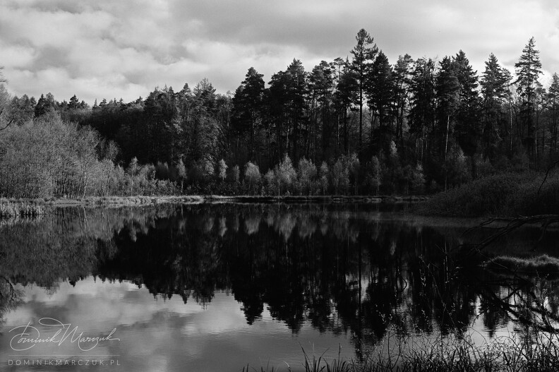 FLICKR-Roll-47-Frame-03.jpg
