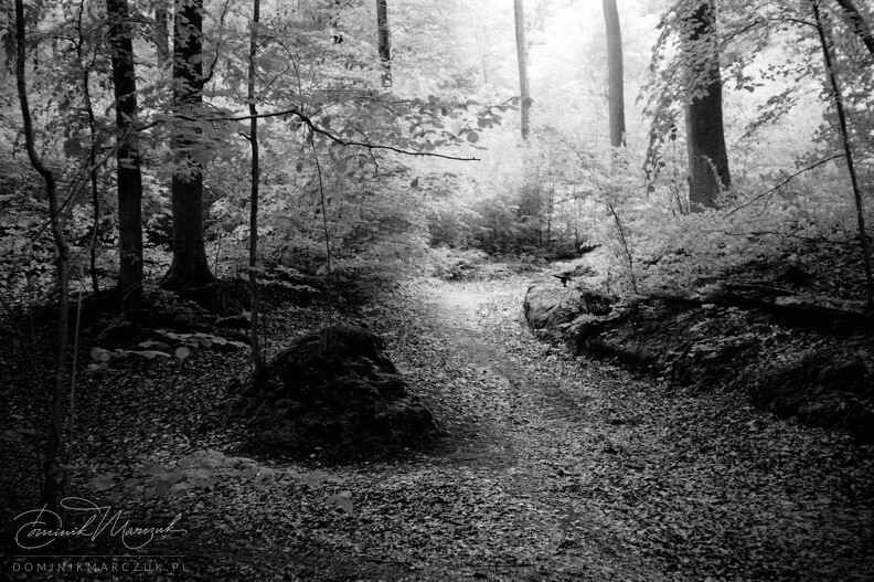 FLICKR-Roll-54-Frame-30.jpg