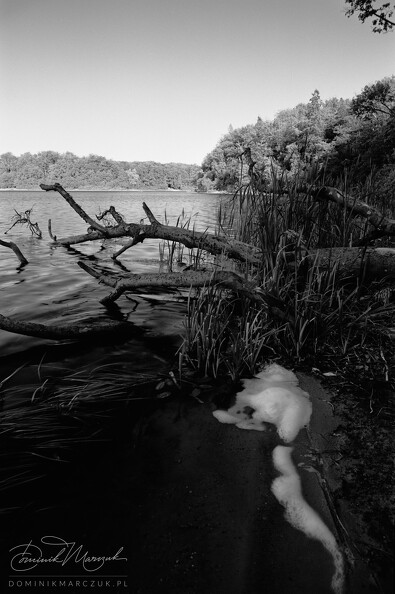 FLICKR-Roll-57-Frame-13.jpg