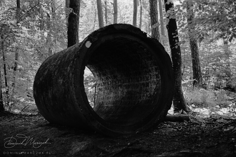 FLICKR-Roll-60-Frame-22.jpg