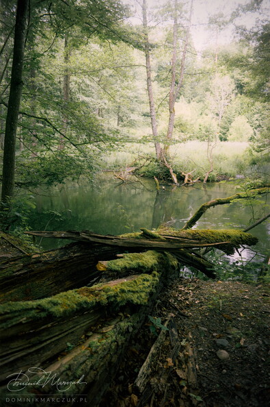FLICKR-Roll-61-Frame-26.jpg