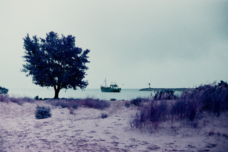 FLICKR-Roll-64-Frame-23.jpg