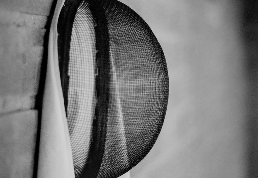 The Beekeeper's Pause