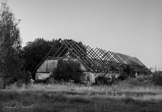 The First and Last Frame