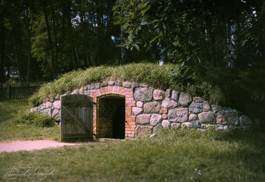 Nourish and Remember