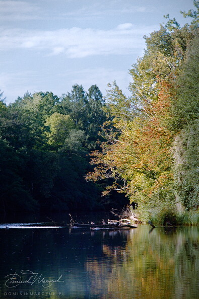 FLICKR-Roll-89-Frame-36.jpg