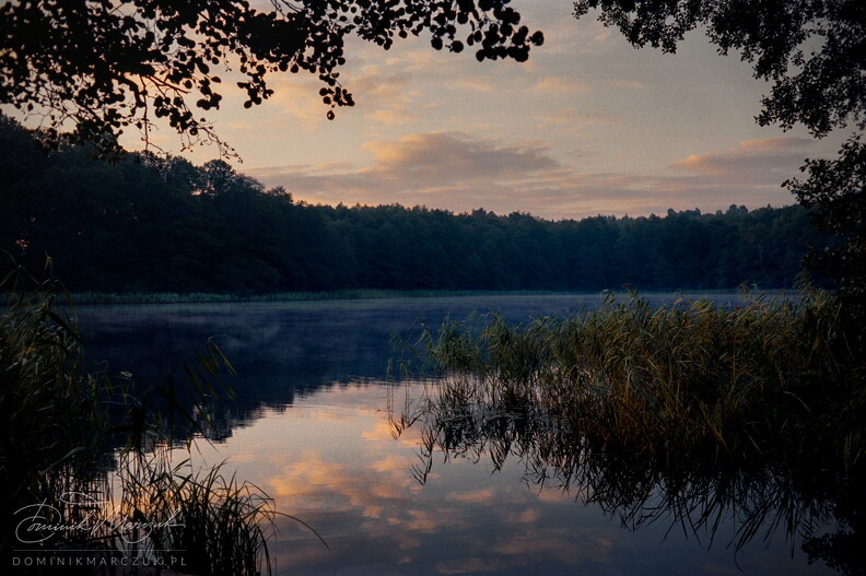 FLICKR-Roll-94-Frame-08.jpg
