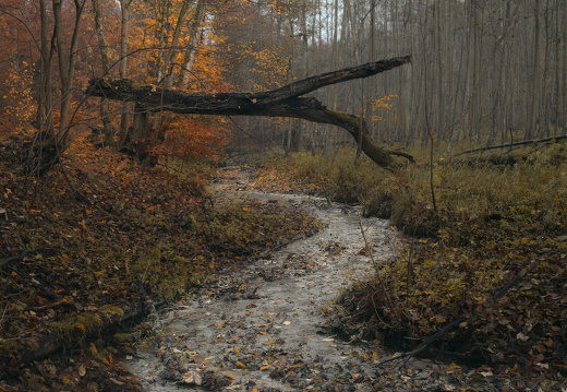 Two Shores, One Bridge