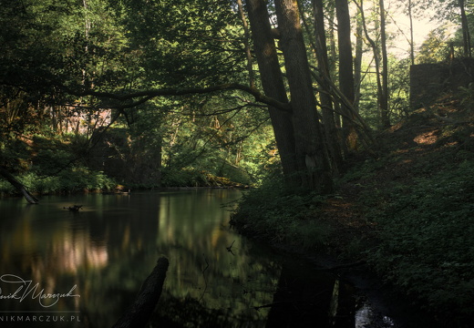 Whispers of What Was