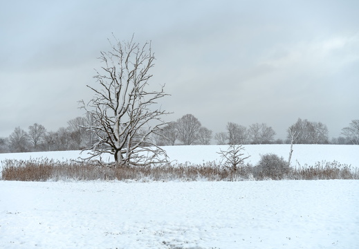 And Winter Taketh Away