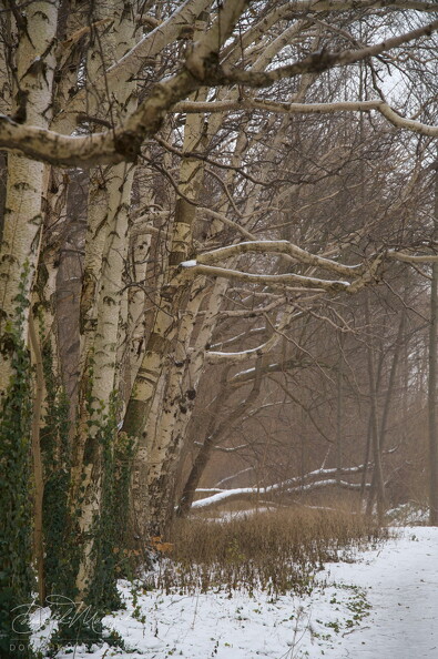 FLICKR-NZ7_3386.jpg