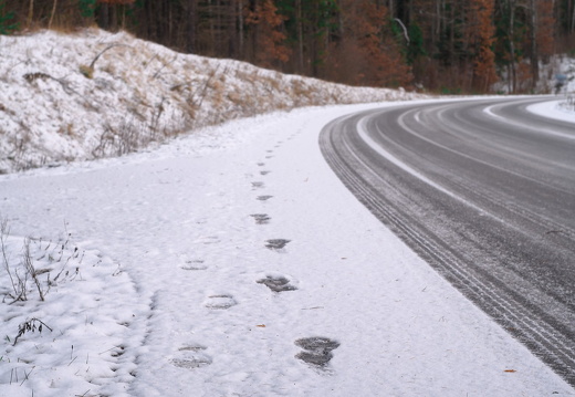 Footprints in the Snow
