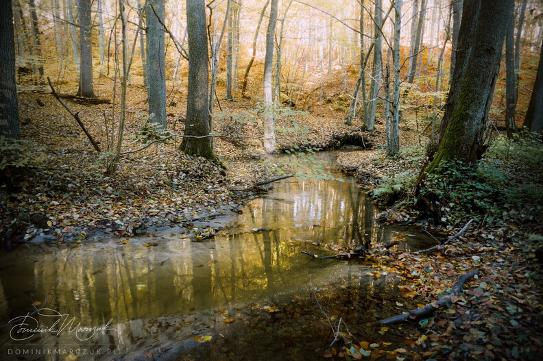 FLICKR-Roll-100-Frame-16.jpg