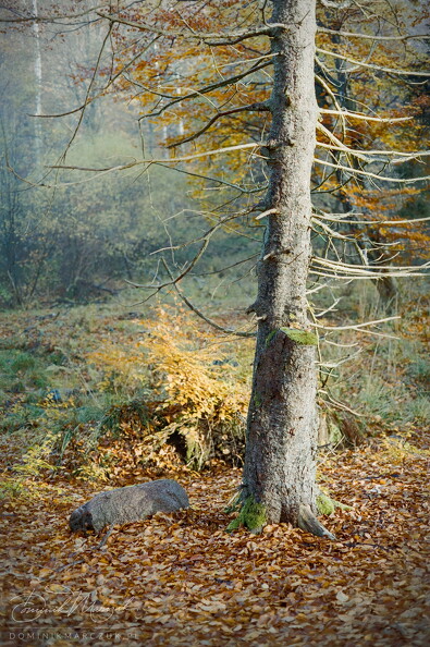 FLICKR-Roll-103-Frame-17.jpg