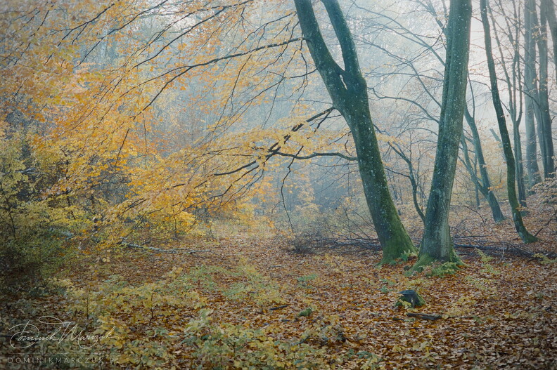 FLICKR-Roll-103-Frame-18.jpg