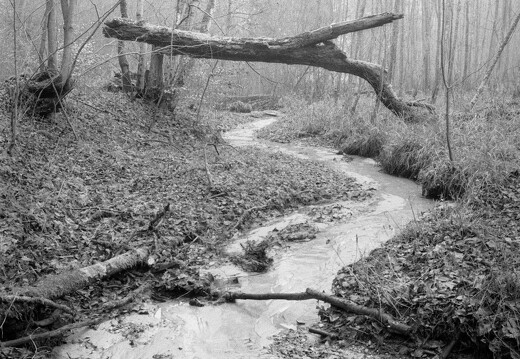 Two Shores, One Bridge II