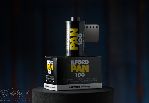 Ilford Pan 100