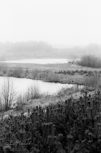 FLICKR-Roll-112-Frame-30.jpg