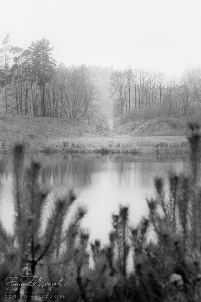 FLICKR-Roll-112-Frame-29.jpg