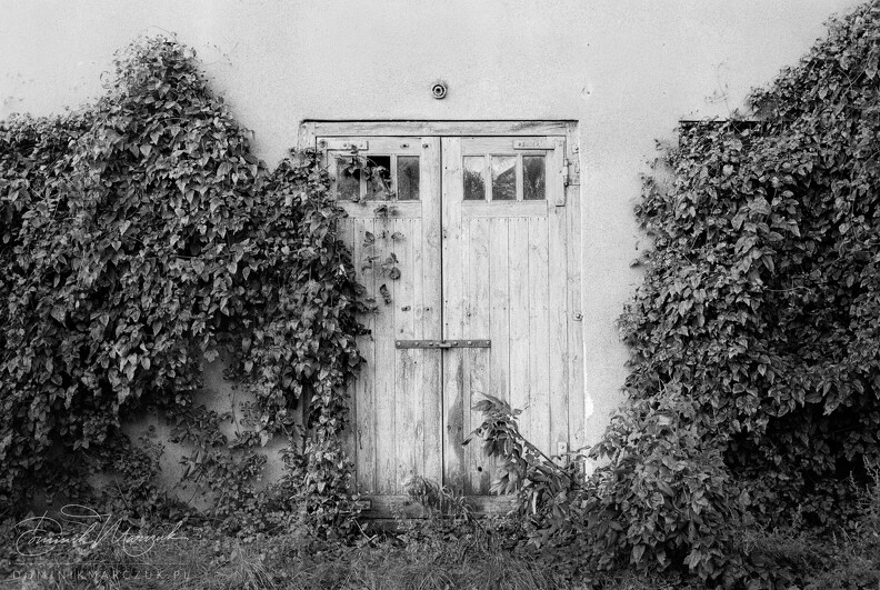 FLICKR-Roll-19-Frame-14.jpg