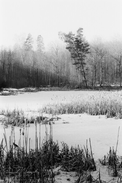 FLICKR-Roll-132-Frame-16.jpg