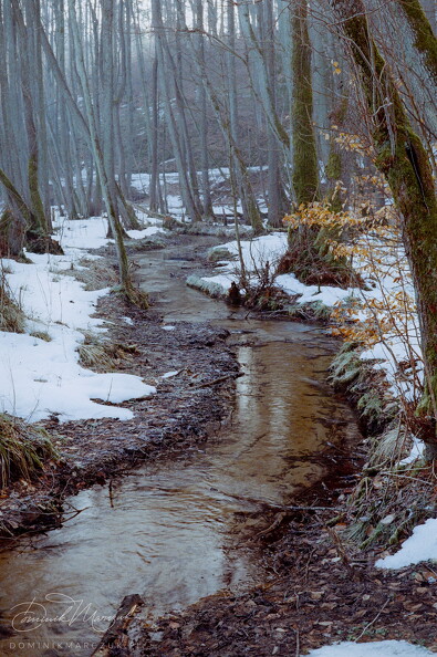 FLICKR-Roll-130-Frame-09.jpg