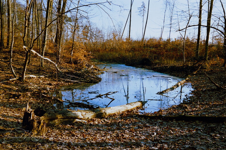 FLICKR-Roll-133-Frame-01.jpg