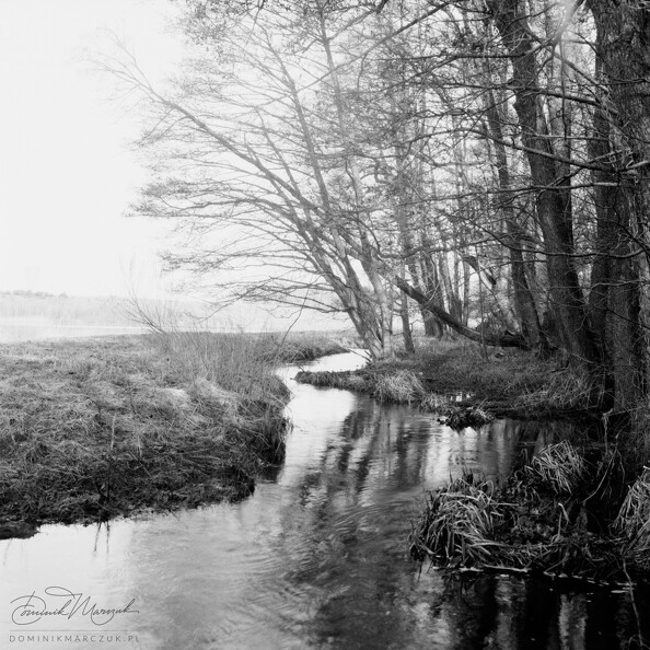 FLICKR-Roll-136-Frame-03.jpg
