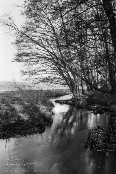FLICKR-Roll-137-Frame-03.jpg
