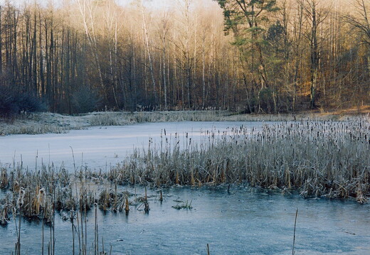 Roll 134 Frame 9