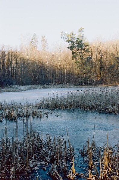 FLICKR-Roll-134-Frame-09.jpg