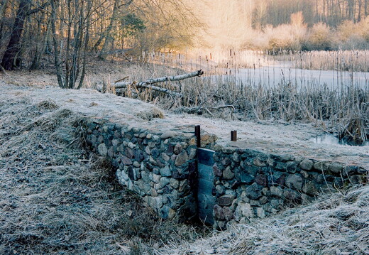Roll 134 Frame 5